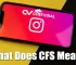 what does cfs mean